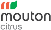 mouton-logo.jpg